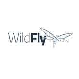 Apache WildFly Monitoring