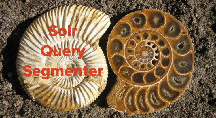 solr query segmenter