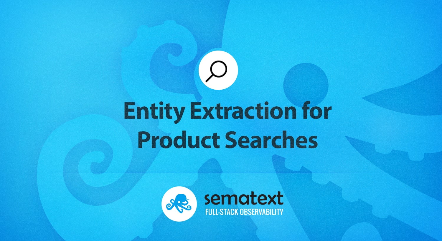 Entity Extraction for Product Searches
