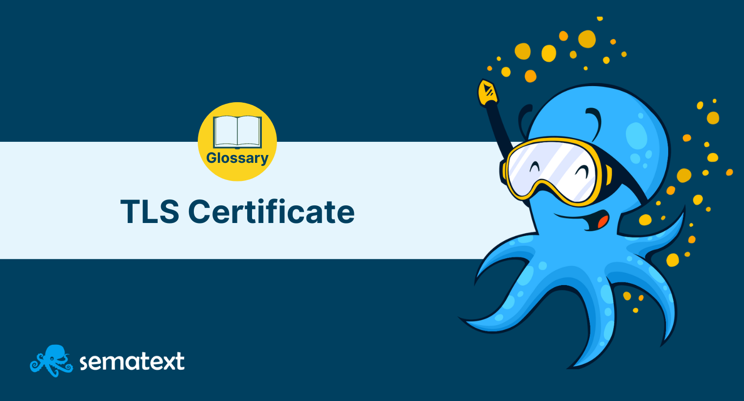 What Is a TLS Certificate - Sematext